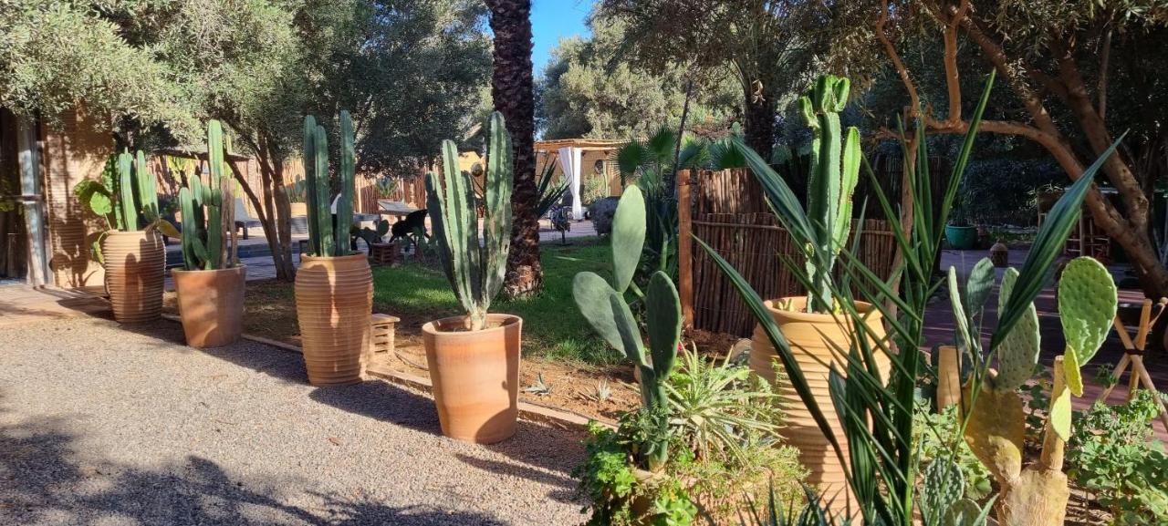 Bed and Breakfast Les Trois Paons Taroudant Esterno foto