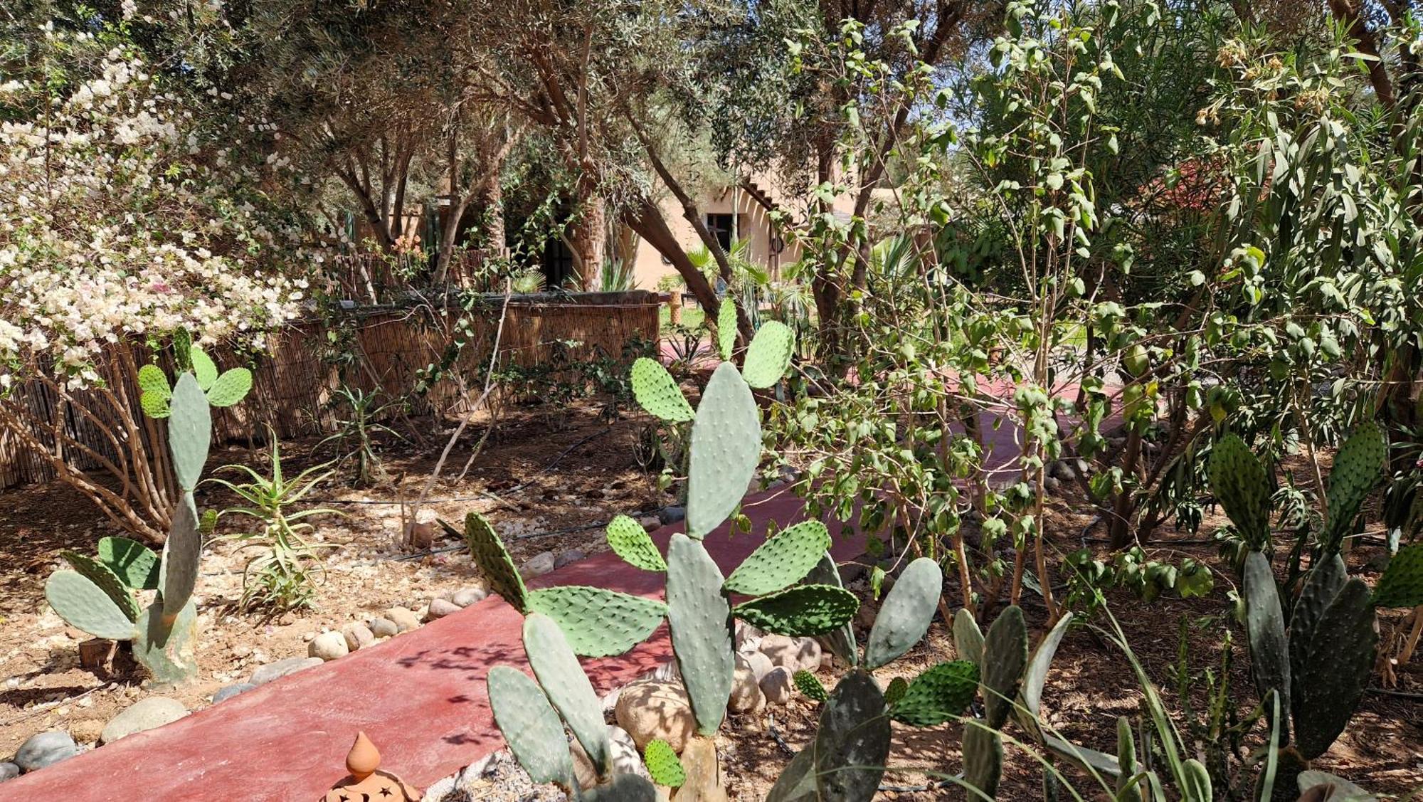 Bed and Breakfast Les Trois Paons Taroudant Esterno foto