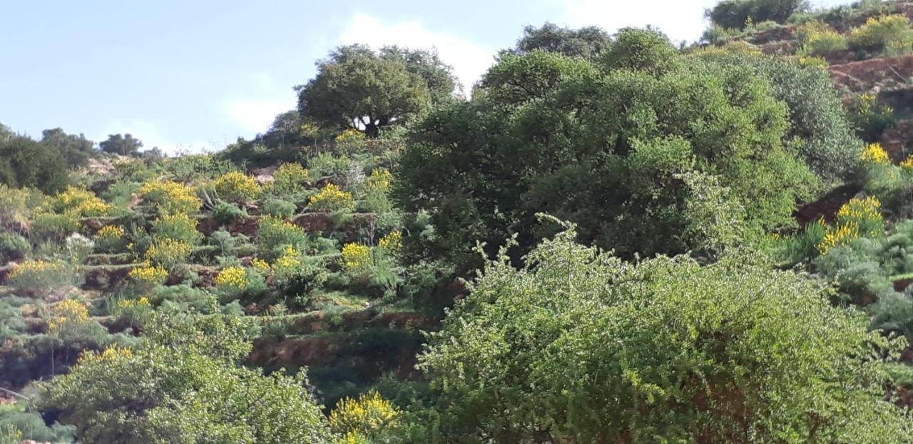 Bed and Breakfast Les Trois Paons Taroudant Esterno foto